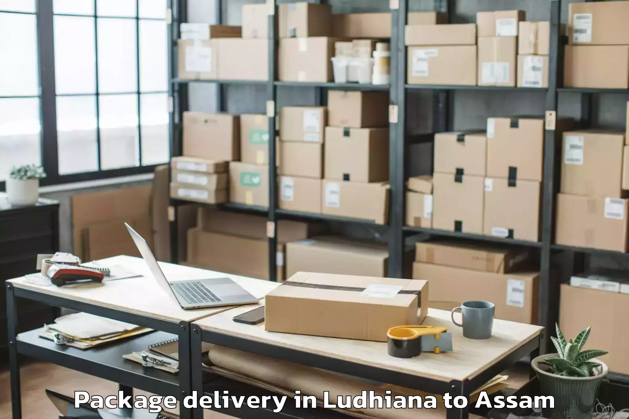 Hassle-Free Ludhiana to Borjhar Airport Gau Package Delivery